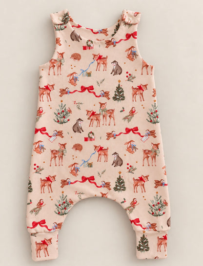 Winter Wishes Romper